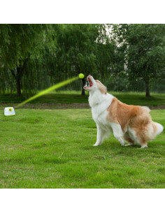 Lanzador Automático de Pelotas PALULU para Perros Pequeños 2