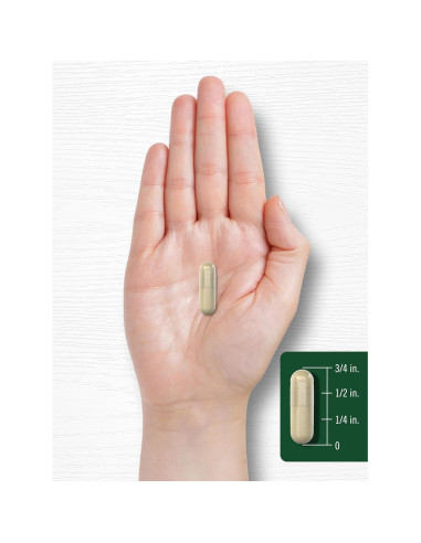 Cápsulas de Cáscara de Psyllium Carlyle 1600mg 200 Unidades