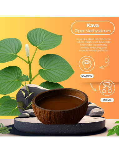 Bebida Espumosa de Kava Unicorn P Botanical Brewing 355 ml 4 Latas