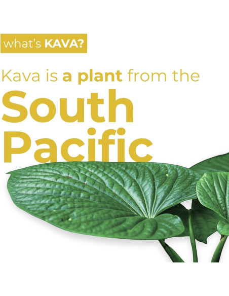 Bebida Mocktail de Pina Colada LEILO - Paquete de 12 Latas 355ml