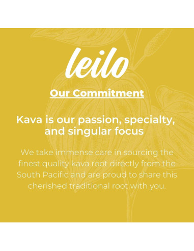 Bebida Mocktail de Pina Colada LEILO - Paquete de 12 Latas 355ml