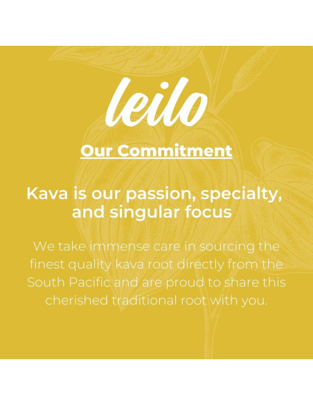 Bebida Mocktail de Pina Colada LEILO - Paquete de 12 Latas 355ml