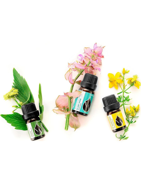 Aceite Esencial de Hierba de San Juan Orgánico Essences 5ml Puro