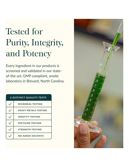 Jarabe Bronquial Gaia Herbs 160 ml - Soporte Inmunológico y Pulmonar