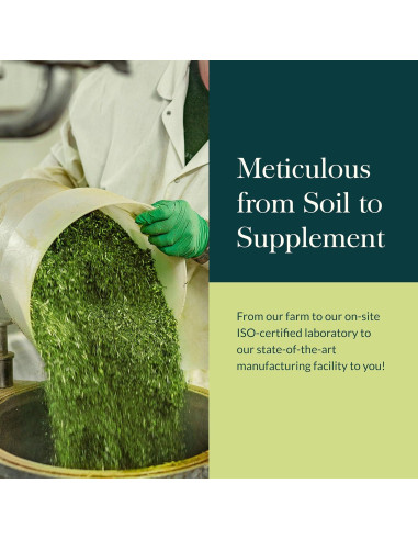 Jarabe Bronquial Gaia Herbs 160 ml - Soporte Inmunológico y Pulmonar