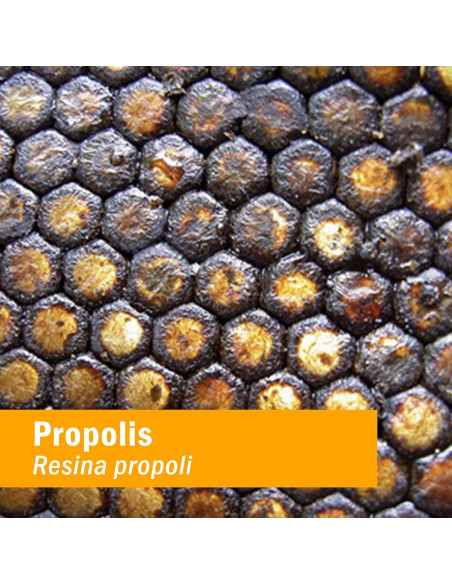 Extracto de Propóleos Herb Pharm 29.57 ml - Soporte Inmunológico