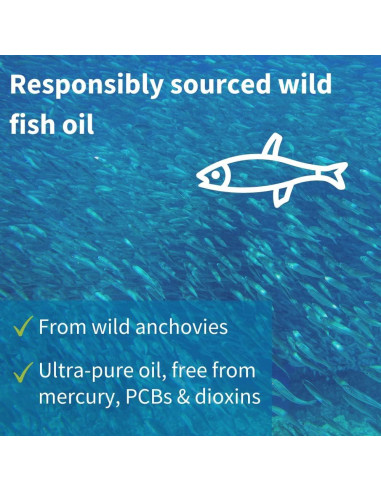 Vegepa Omega 3 Aceite de Pescado Salvaje 560 mg EPA 60 Cápsulas