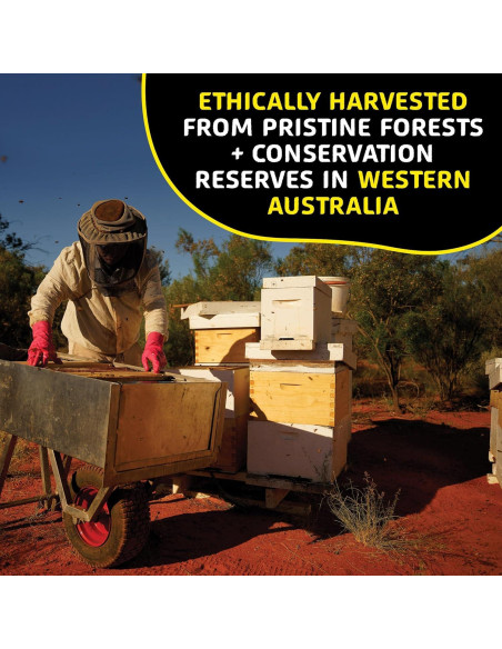 Gránulos de Polen de Abeja Helio Hives 0.5 kg - Puro de Australia