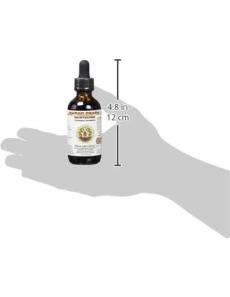 Extracto Líquido de Espino Orgánico Sin Alcohol 60 ml - HawaiiPharm