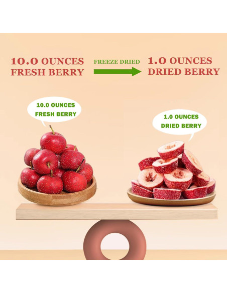 Bayas de Espino Deshidratadas HOLFLYING 113.4 g Sin Aditivos