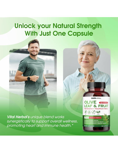 Cápsulas de Oliva Orgánica Vital Herbal - 150 Unidades - Antioxidante y Salud Inmunológica