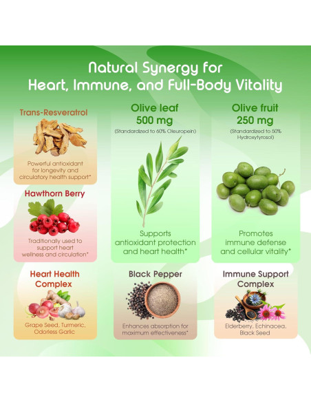 Cápsulas de Oliva Orgánica Vital Herbal - 150 Unidades - Antioxidante y Salud Inmunológica