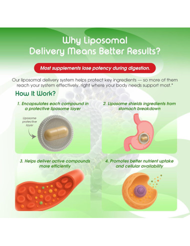 Cápsulas de Oliva Orgánica Vital Herbal - 150 Unidades - Antioxidante y Salud Inmunológica