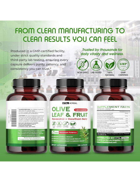 Cápsulas de Oliva Orgánica Vital Herbal - 150 Unidades - Antioxidante y Salud Inmunológica