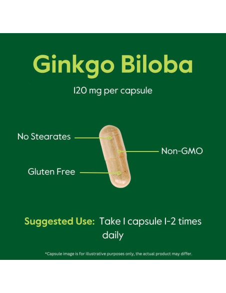 Suplemento Ginkgo Biloba Bestvite 120mg 240 Cápsulas Sin Gluten