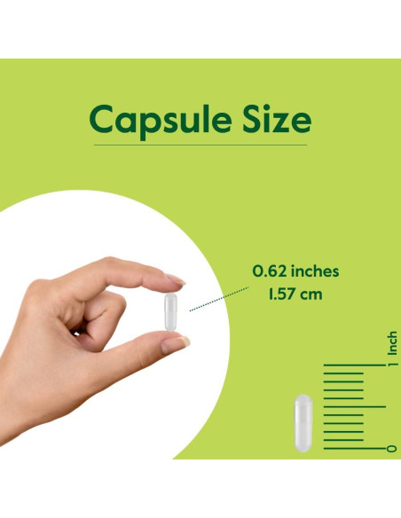 Suplemento Ginkgo Biloba Bestvite 120mg 240 Cápsulas Sin Gluten