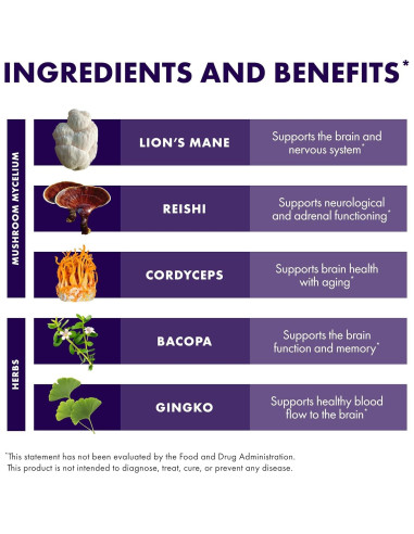 Cápsulas Host Defense Brain con Melena de León y Reishi - 60 Unidades