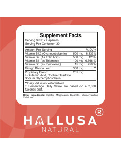 Suplemento Cerebral Hallusa Natural 60 Cápsulas Ginkgo Biloba B12 B9 B6 2