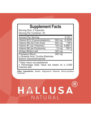 Suplemento Cerebral Hallusa Natural 60 Cápsulas Ginkgo Biloba B12 B9 B6