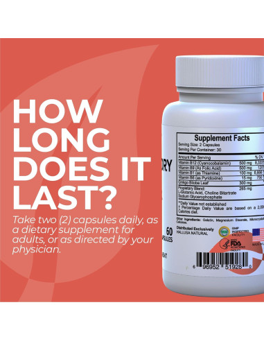 Suplemento Cerebral Hallusa Natural 60 Cápsulas Ginkgo Biloba B12 B9 B6