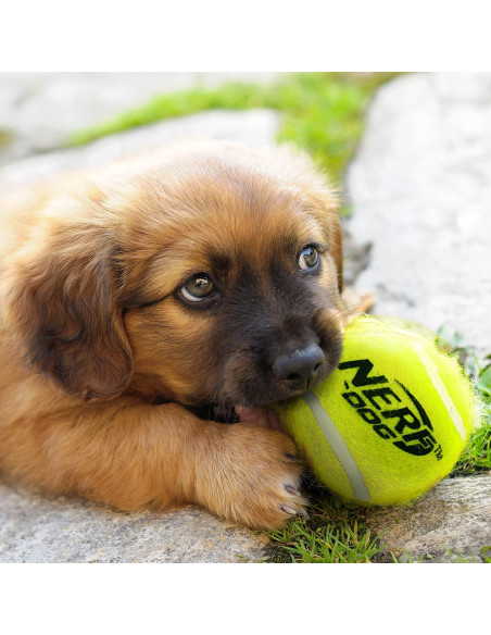 Conjunto de Juguetes para Perros Nerf 16 Piezas Verde