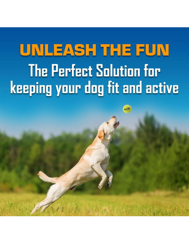 Conjunto de Juguetes para Perros Nerf 16 Piezas Verde