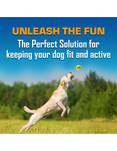 Conjunto de Juguetes para Perros Nerf 16 Piezas Verde