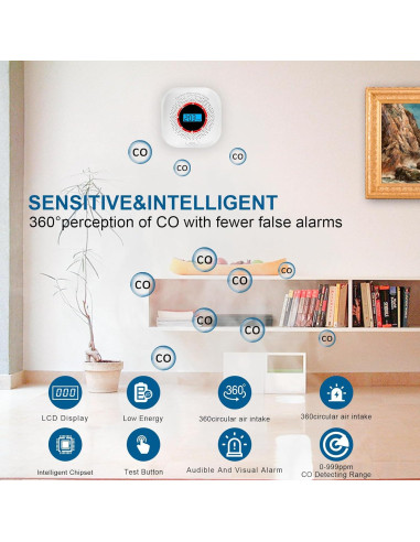 Detector de Monóxido de Carbono Tarewoeki Portátil con Pantalla LCD