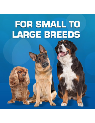 Conjunto de Juguetes para Perros Nerf 16 Piezas Verde