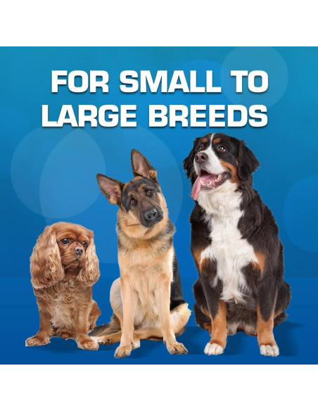 Conjunto de Juguetes para Perros Nerf 16 Piezas Verde