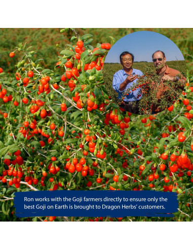 Bayas de Goji del Cielo Dragon Herbs 227 g - 100% Naturales