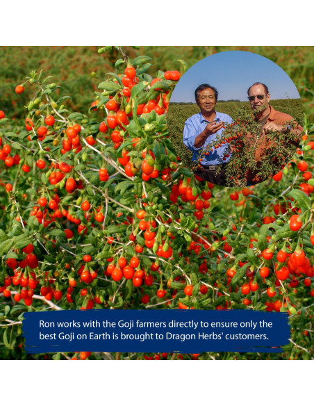 Bayas de Goji del Cielo Dragon Herbs 227 g - 100% Naturales