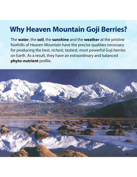 Bayas de Goji del Cielo Dragon Herbs 227 g - 100% Naturales