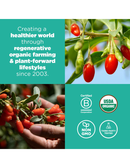 Bayas de Goji Orgánicas Navitas 226.8g - Antioxidantes y Fibra