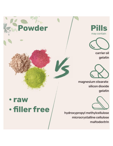 Extracto de Schisandra Orgánico en Polvo Micro Ingredients 227g