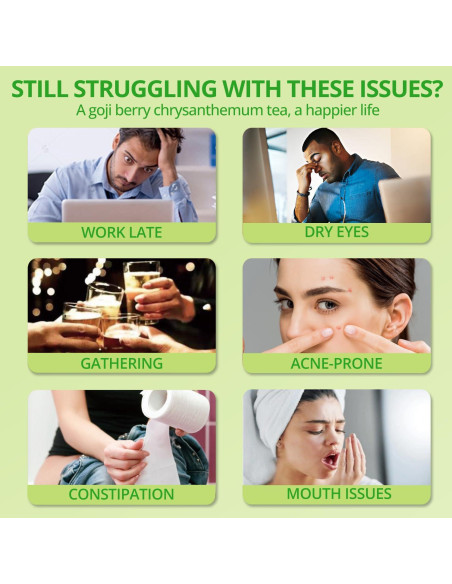 Té de Goji Berry y Crisantemo Patiosio - 15 Bolsitas 190g Té de Goji Berry y Crisantemo Patiosio - 15 Bolsitas 190g