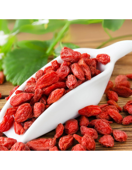 Baya de Goji Secas Orgánicas Anna y Sarah 1814 g - Superfood