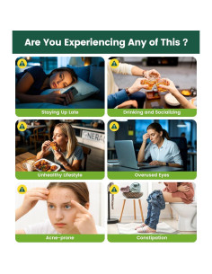 Té Herbal de Baya de Goji y Crisantemo 30 Bolsas 240g 2