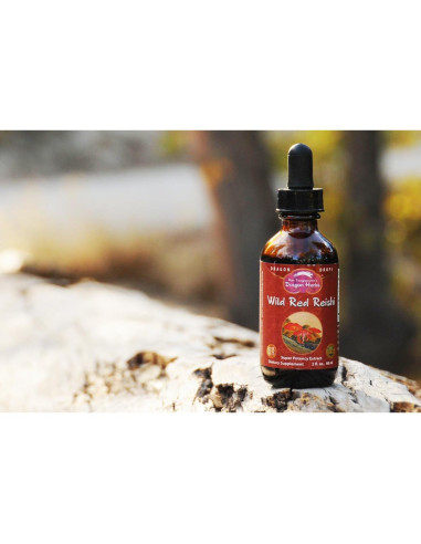 Gotas de Reishi Rojo Silvestre Dragon Herbs 59 ml 100% Natural