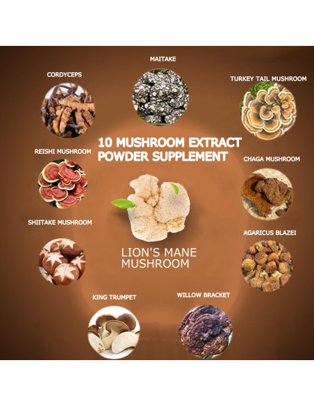 Café de Hongo Suiyilary 150g - 10 Hongos para Energía y Enfoque