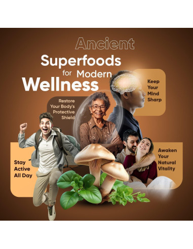 Café de Hongo Suiyilary 150g - 10 Hongos para Energía y Enfoque