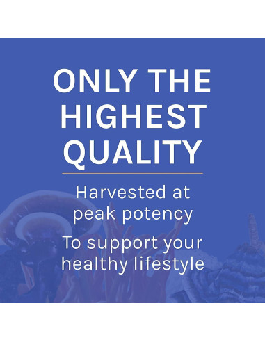 Suplemento de Hongo Host Defense Stamets 7 - 99.22 g