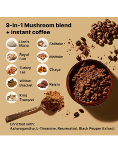 Café de Hongo Orgánico Rasstenix - 9 Adaptógenos - 60 Porciones 2