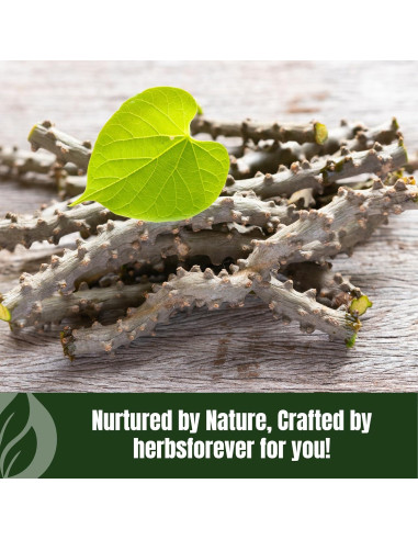 Polvo de Guduchi 230g | Tinospora Cordifolia | Suplemento Herbal