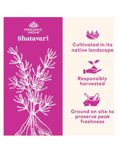 Cápsulas de Shatavari Organic India - 90 Unidades, Vegano, Orgánico