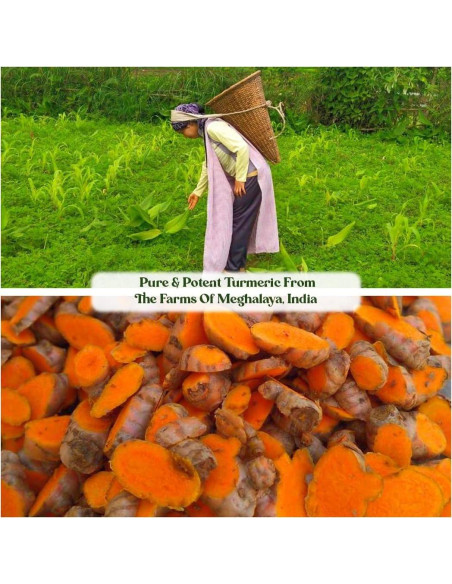 Suplemento de Cúrcuma Lakadong Vegano 120 Tabletas 299g