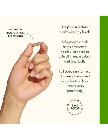 Suplemento Herbal Raíz de Rhodiola Rosea Swanson 400 mg 100 Cápsulas