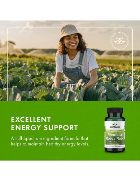 Suplemento Herbal Raíz de Rhodiola Rosea Swanson 400 mg 100 Cápsulas Suplemento Herbal Raíz de Rhodiola Rosea Swanson 400 mg 100 Cápsulas