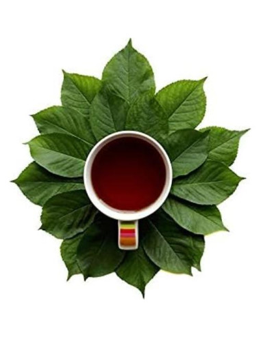 Extracto en Polvo de Raíz de Escutelaria Baicalensis 112g - Dimmak Herbs