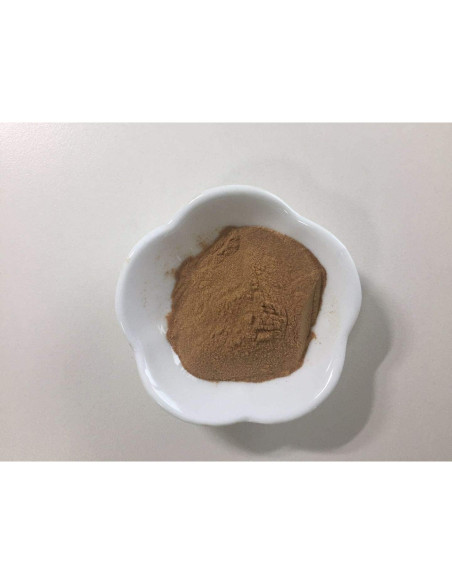 Extracto en Polvo de Raíz de Escutelaria Baicalensis 112g - Dimmak Herbs